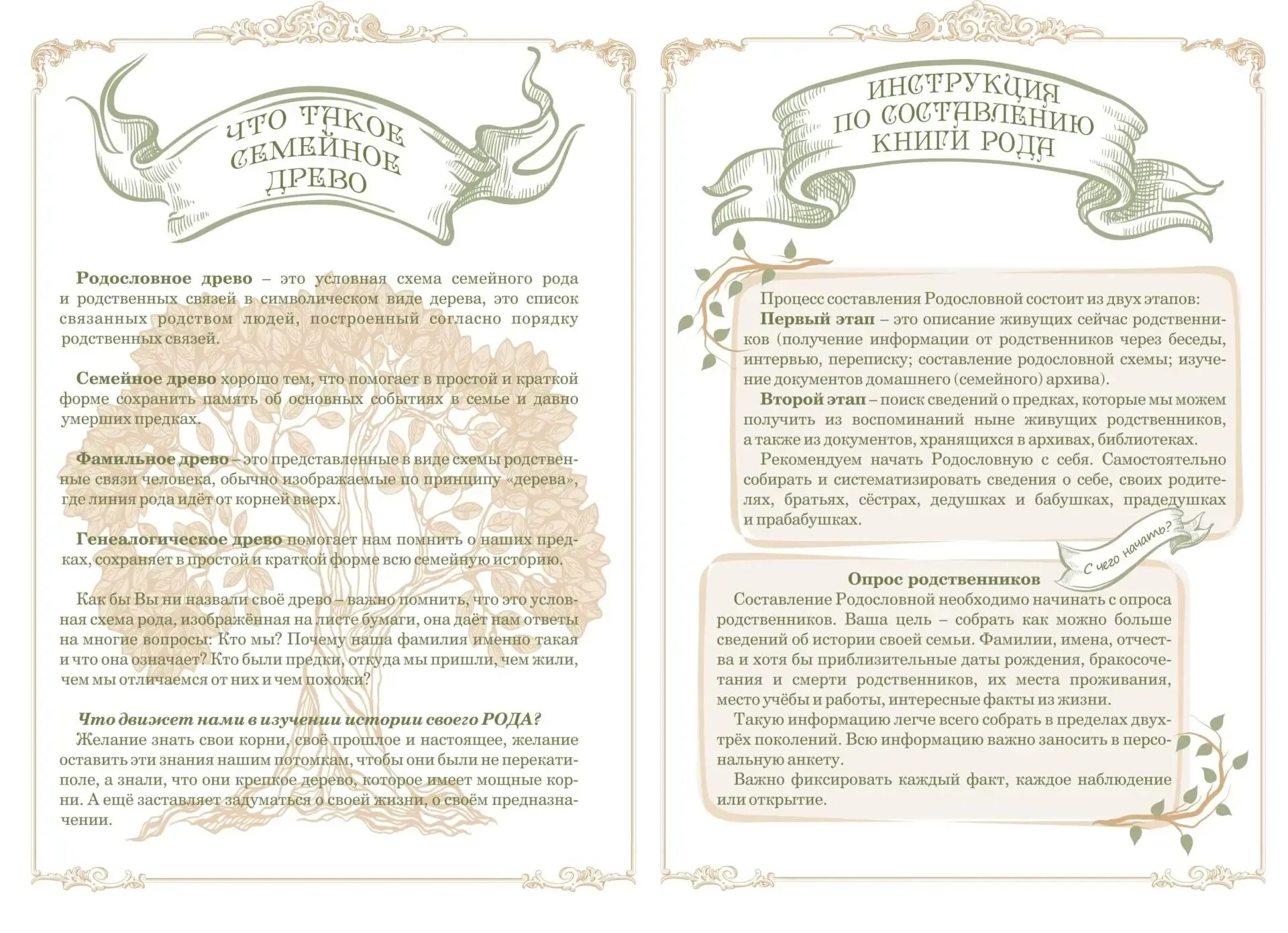 Книга род корневых будет жить 1. 1954 г. Род психология. Книга род корневых будет жить 1. Книга наш род.