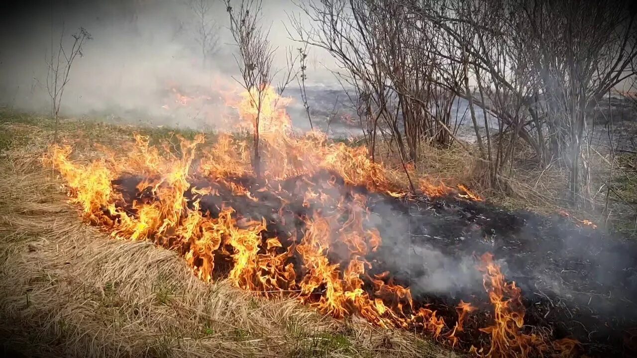 Пожары в калифорнии 2021. Социальные пожары. Крупные лесные пожары. Социальные пожары. Пожары в жилых и общественных зданиях.