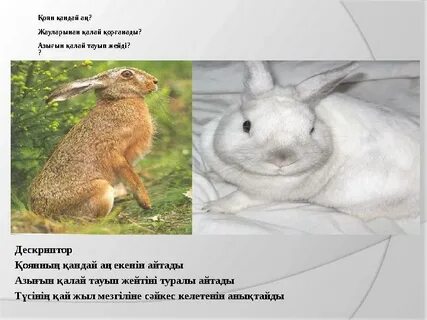 Юбка астында не жатқанын фотосуреттерге қараңыз