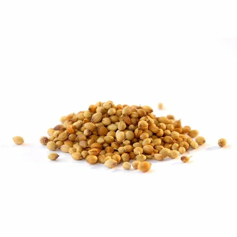 Манго кориандр. Coriander seeds. кориандр. семена кориандра без фона. кориандр (семена).