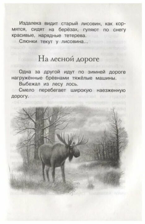 Маленький рассказ в лесу. Год в лесу книга Соколов Микитов. Год в лесу. Соколов-Микитов и.с. Махаон. Соколов-Микитов рассказы о природе. Год в лесу книга.