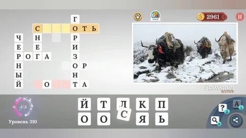 Найдите 13 уровень