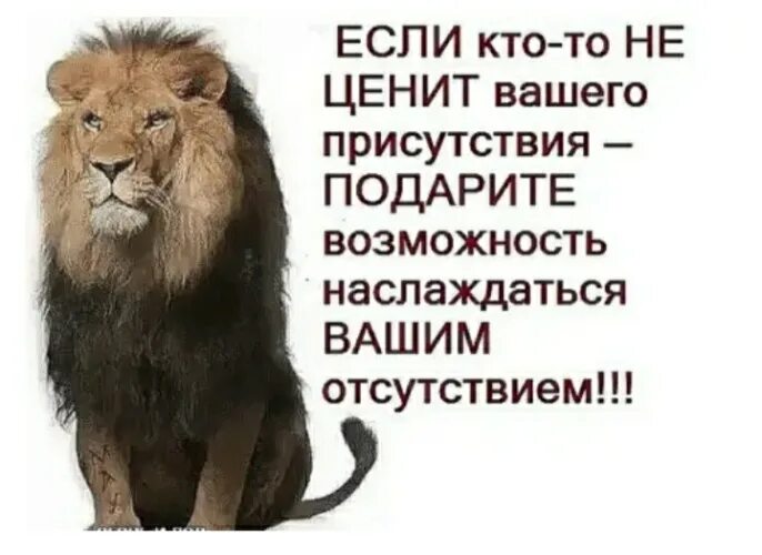 Компания ценит ваше. Если вас не ценят. если человек не ценит. если кто-то не ценит вашего присутствия. если кто не ценит вашего.