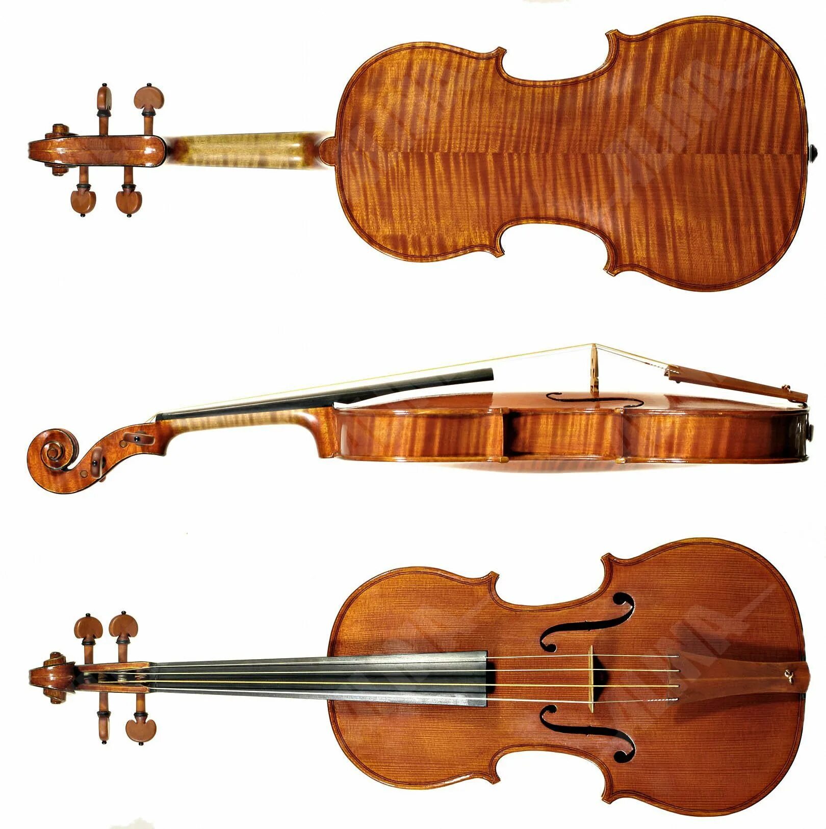 Музыкальные инструменты скрипка виолончель. Скрипка альт виолончель квартет. Класс виолончели. Слайд с о скрипкой. Музыкальные инструменты вариации.