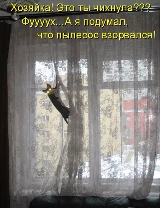 Муж, ты что творишь? Ты ж мне сейчас влагалище нахрен разорвёшь