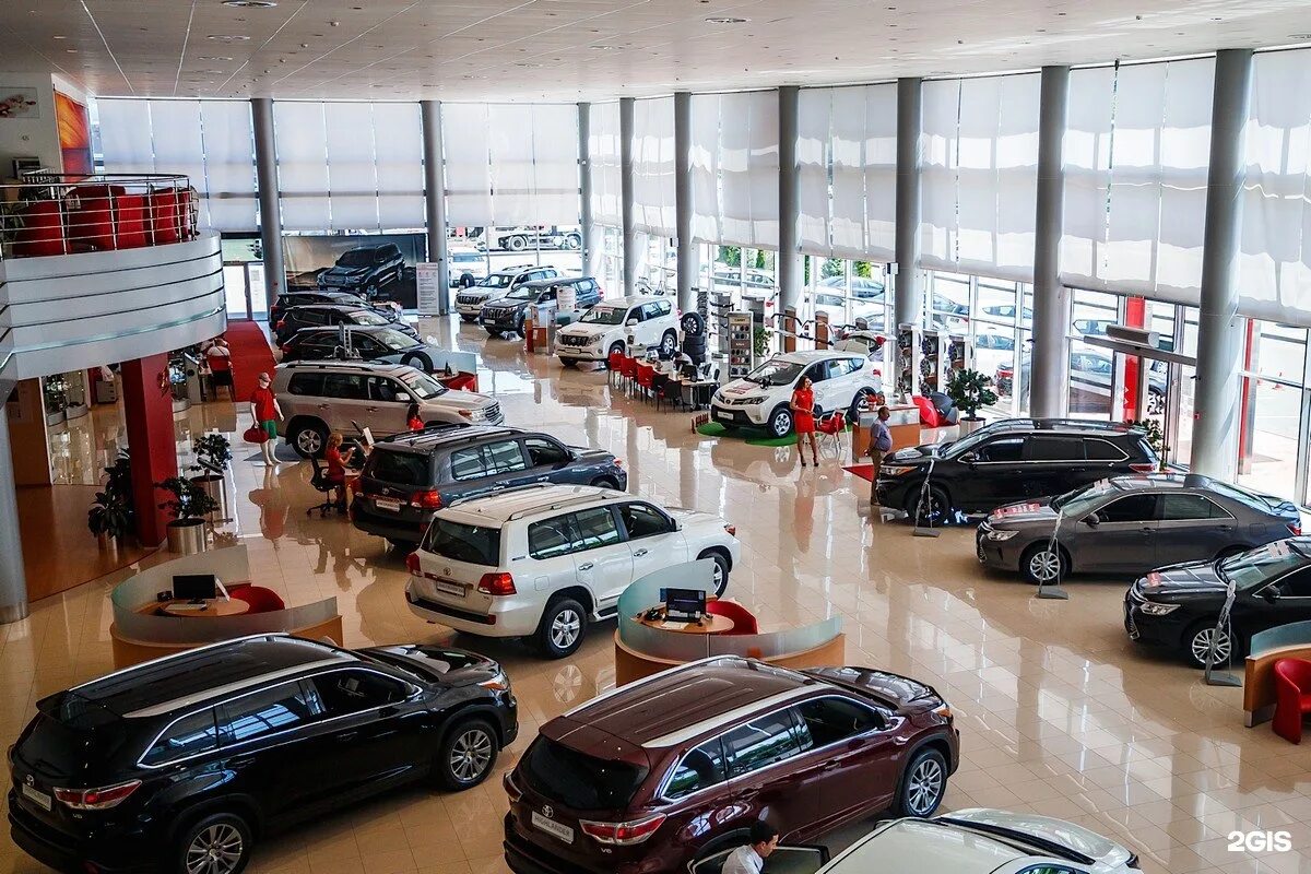 Киа краснодар бородинская 131/1. Кар моторс. Краснодар ростовское шоссе 7 альянс моторс. Кар моторс. Дилерский центр киа.