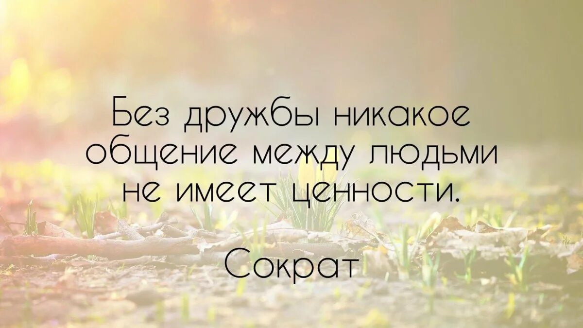 Дружба высказывания цитаты. Цитаты про дружбу. афоризмы про дружбу. высказывания о дружбе. высказывания о дружбе и д.
