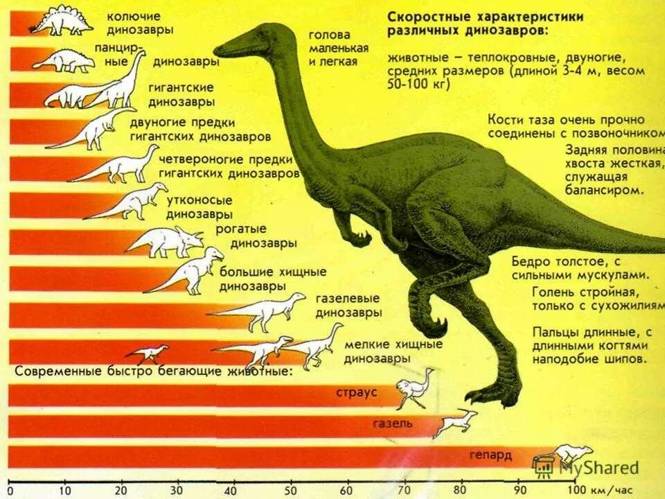 Какой 1 динозавр. Периусы жизни динозавров. Скорость динозавров. Скорость передвижения динозавров. Таблица динозавров.