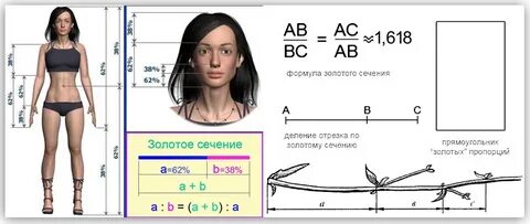 Фотошоп пропорции