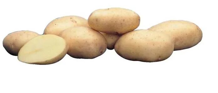 Вектор картофель характеристика. Картофель семенной Артемис. Семенной картофель сорт Артемис. Семенной картофель Винета. Винета сорт картофеля.