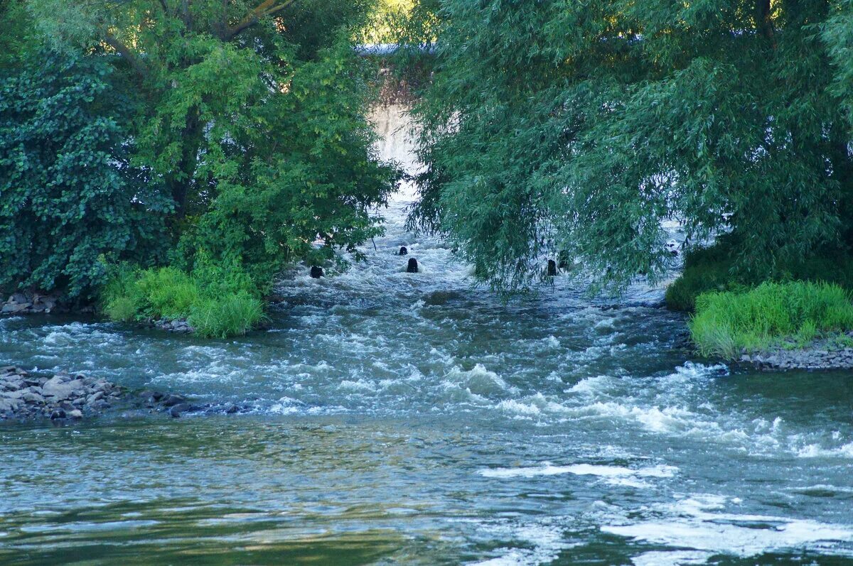 Вода в реке сура. Река Сура в Пензенской области. Природа Сурского края Пензенской области. Река Мокша. Река Сура в Мордовии.