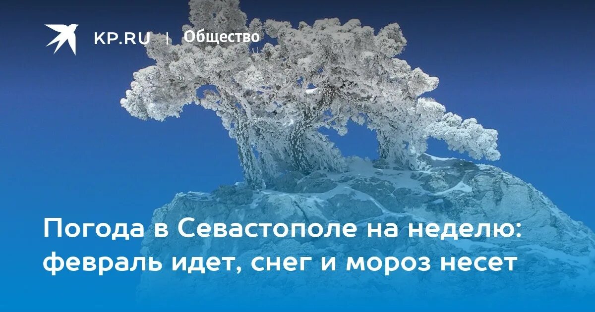 Погода севастополь северная сторона на неделю. Погода в Севастополе в феврале. Погода в Севастополе. Климат Севастополя. Февраль снег идет.