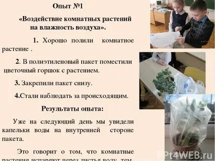 Запиши результат опыта