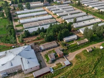 Рп5 дороничи