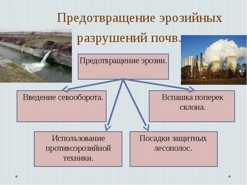 Какие процессы приводят к разрушению почв. Причины разрушения почвы. факторы разрушающие почву. как предотвратить разрушение почвы. способы защиты почв от разрушения.