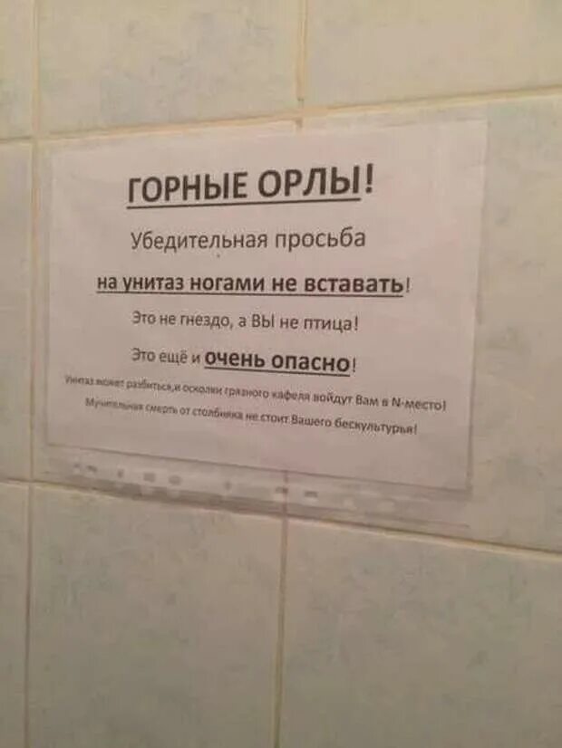 Учит писать в унитаз