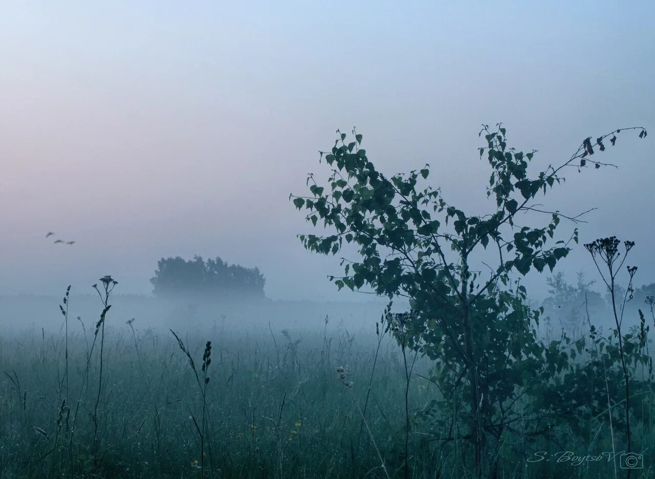 Обои туман. Вся земля была в тумане. Туманный небосклон;. Туманные земли как выглядят вальхельм. Поле в тумане.