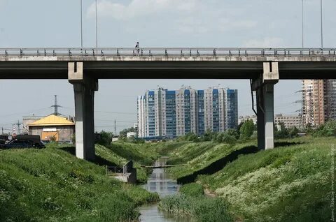 Купчино 12