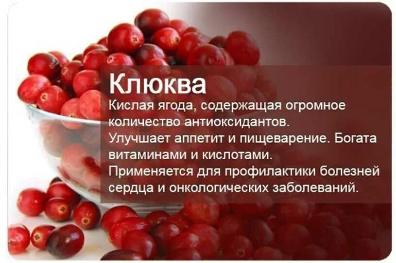 Клюква. Интересные факты о клюкве. Клюква полезные свойства. Клюква польза.