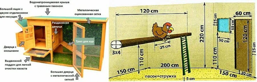 Норма площади для кур несушек в курятнике. Размер жерди для кур несушек. Нормы для курятника кур несушек. Курятник на 30 кур несушек.