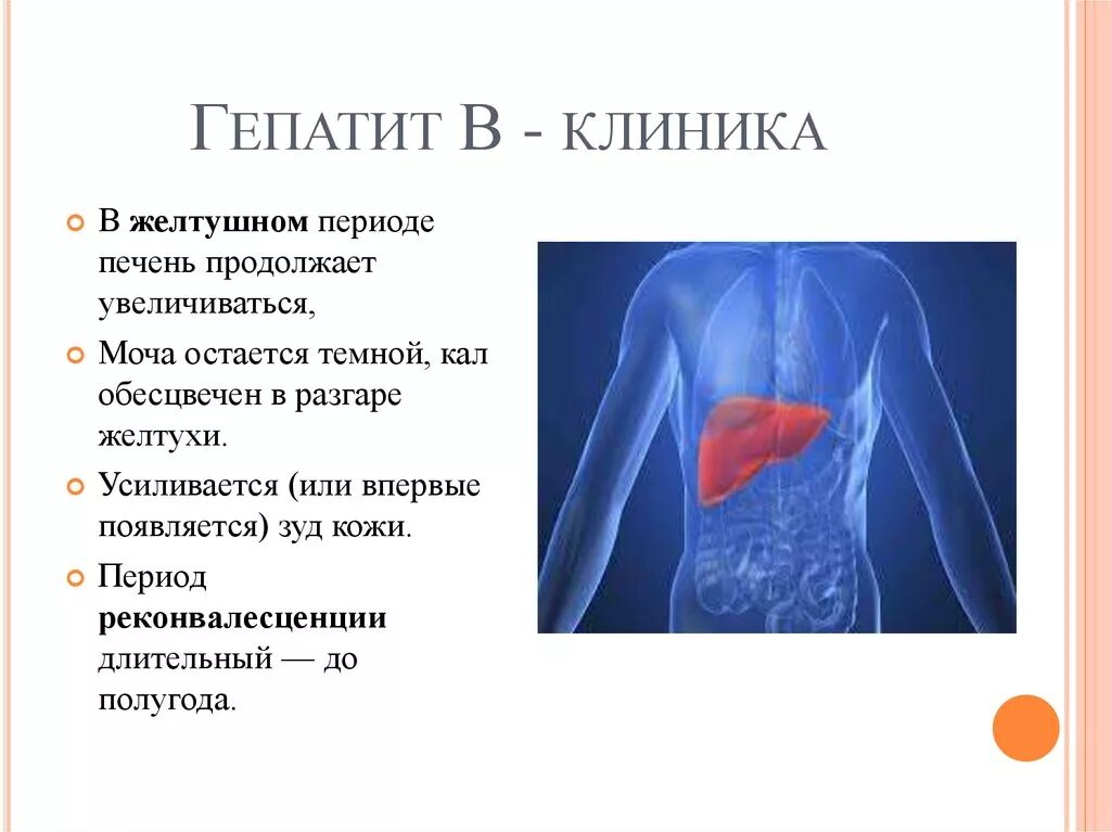 Гепатит а клиника. Хронический гепатит b клиника. Вирусный гепатит б клиника.