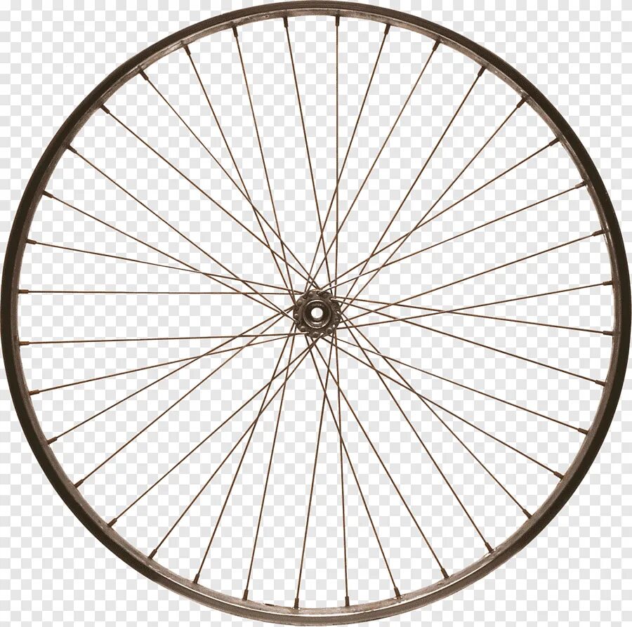 Колесо велосипед рисунок. Колесо велосипеда. Колесо со спицами. Колесо от велосипеда. Велосипедное колесо спицы.