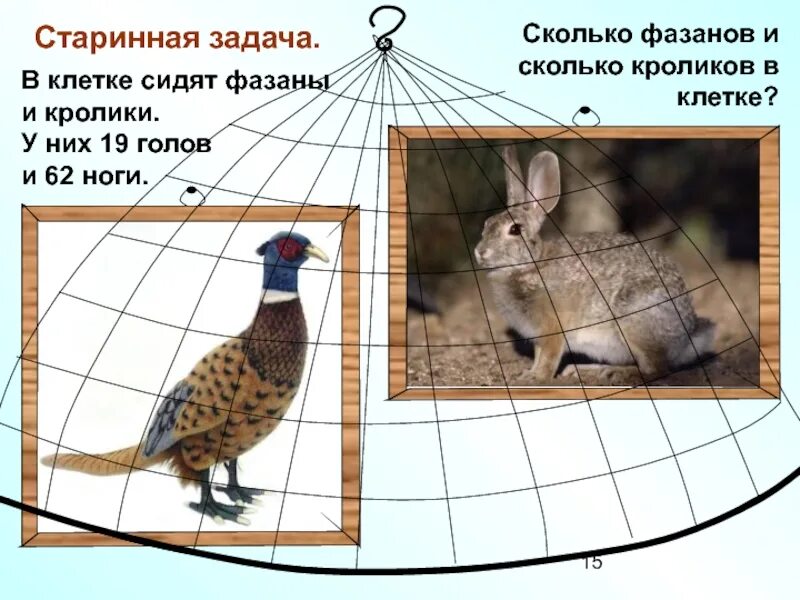 20 голов 52 ноги сколько кур. Фазаны и кролики в клетке. задача.в клетке сидят фазаны кролики. задачи на головы и ноги. старинная задача в клетке сидят фазаны.