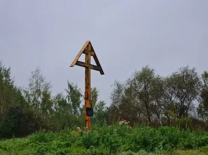 Тверская область на горе