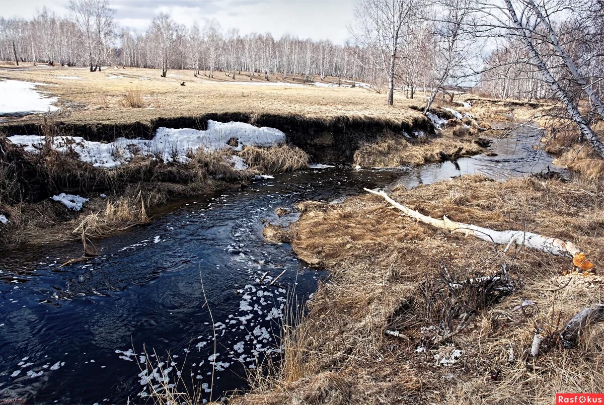 Ручьи весной. По овражкам бегут ручьи к реке. По овражкам бегут ручьи к реке. Весенний ручеек. Журчат ручьи.