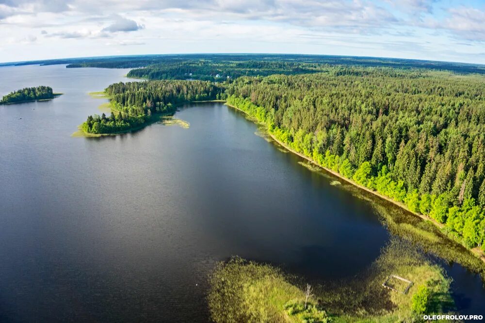 Парки новгородской области. Валдайский национальный парк озеро Валдайское. Валдайский национальный парк озеро Селигер. Селигер Валдайская возвышенность. Валдайский национальный парк достопримечательности.