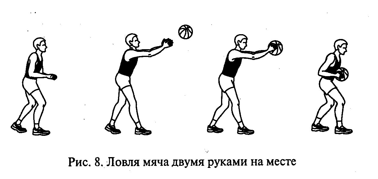 1 ловля мяча. Ловля мяча двумя руками в баскетболе техника. Ловля мяча 2 руками в баскетболе. Баскетбол техника ловли мяча 2 руками. Ловля и передача мяча в баскетболе картинки.