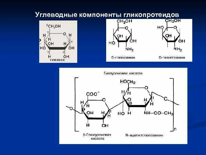 Гликопротеины в мембране. Галактоза структурная формула. Галактоза формула. Строение лактозы формула. Целлобиоза структурная.
