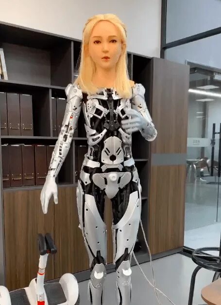 Моя девушка робот 2024. Робот кукла. Робот андроид. Роботизированные куклы. Робот девушка кукла.