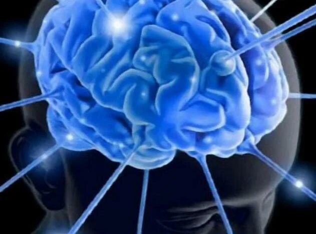 Синий мозг. Лекарство синее от мозга. Интуитивные системы
