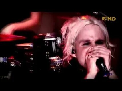 Rasmus roses