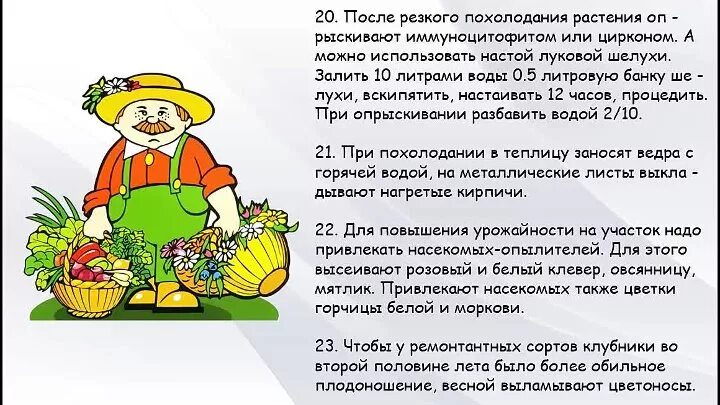 Огород дача советы. Огородные советы для дачников и огородников. советы для огородников и садоводов. рекомендации садоводам и огородникам. советы дачникам.