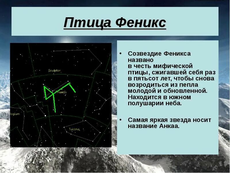 Наблюдать созвездие. Созвездие феникс. созвездие феникс легенда. птица феникс созвездие. мифы о созвездии феникс.