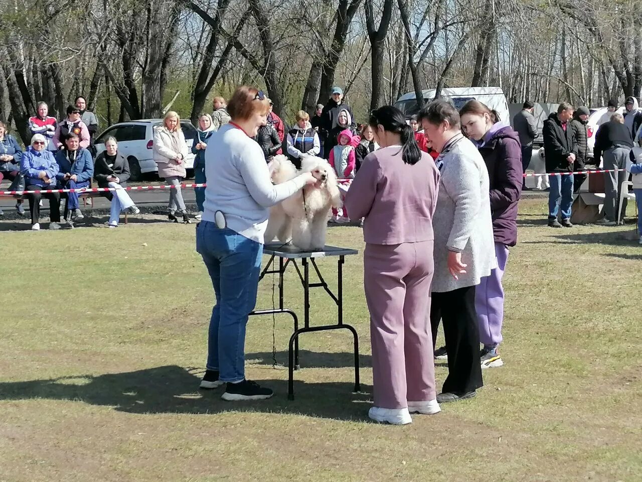 Национальная выставка собак. На выставке собак. Выставка собак Мазовера 2023. Выставка фотографий. Показ собак на выставках.