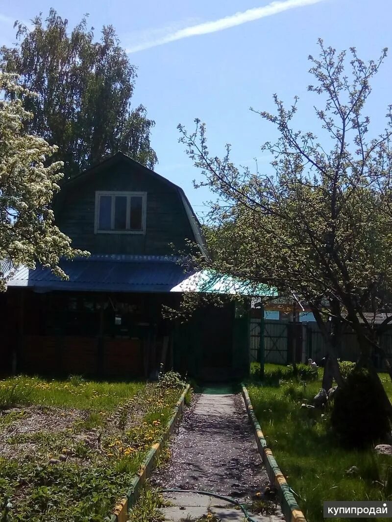 Автобус дачи юбилейное рошаль. Дачи юбилейное 2 рошаль. рошаль дачи юбилейное. что такое снт юбилейный в рошале. дачи в рошале.