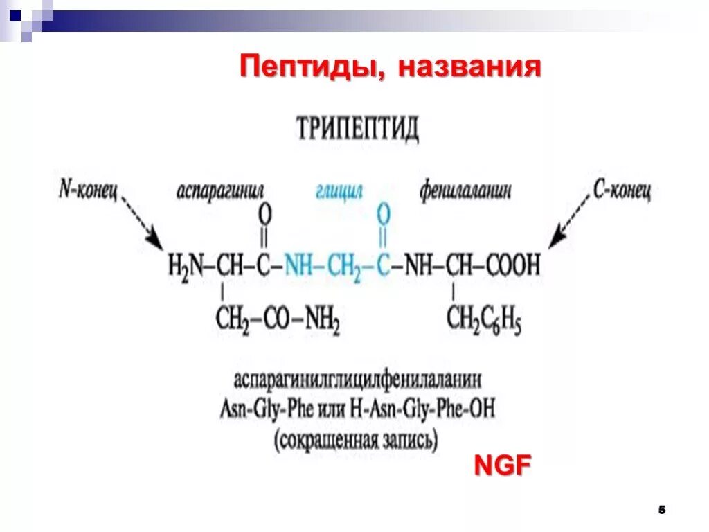 Название пептидов. Назвать трипептид. Полное название пептида. Трипептид название. Глицин полипептид