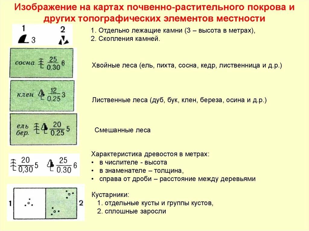 Растительный Покров и грунты топографические знаки. Обозначение леса топографических карт. Топографические условные знаки лес. Лес обозначение на топографической карте. Обозначения леса на карт