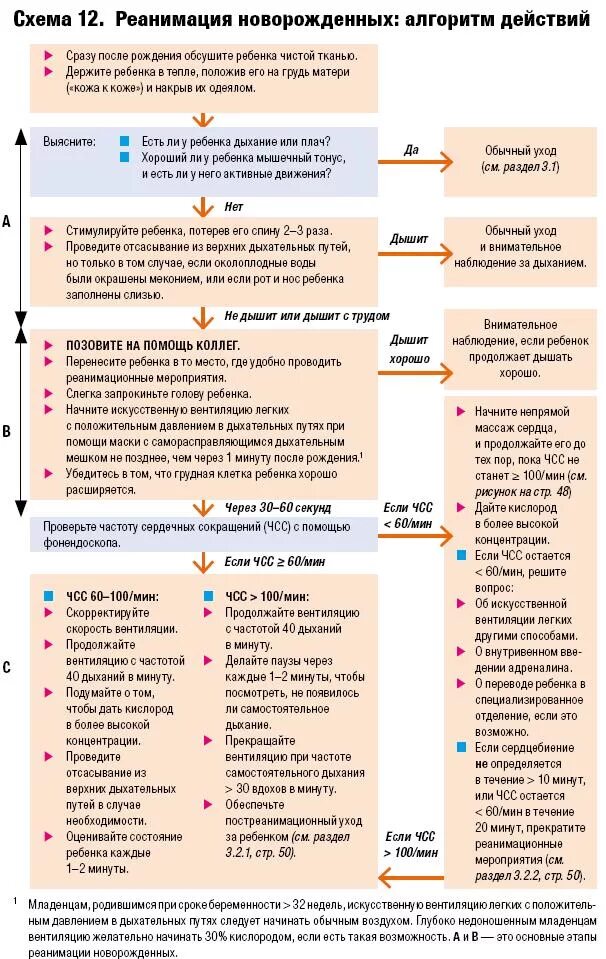 Алгоритм реанимации новорожденных при асфиксии. Таблица первичная реанимация новорождённого. Схема первичной реанимации новорожденного. Реанимация новорожденного при асфиксии алгоритм.