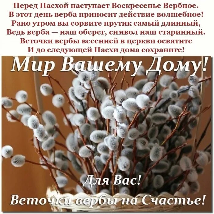 С чем можно сравнить вербу. С Вербным воскресеньем. С днем вербы. Верба на Вербное воскресенье. Веточка вербы с праздником.