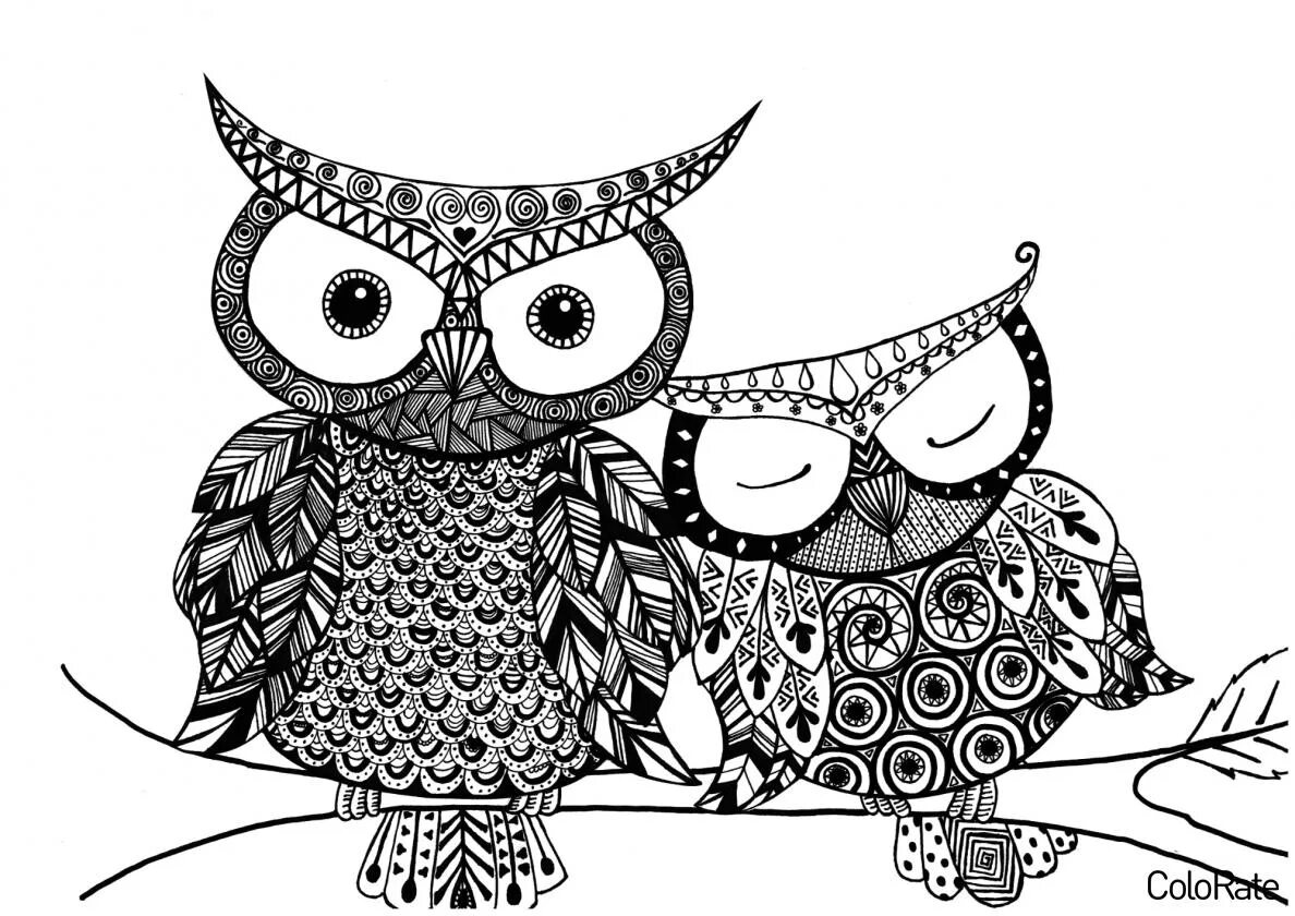Сова раскрашивать. Сова раскраска для детей. Раскраска сова. Сова картинка раскраска. Раскраска антистресс сова.