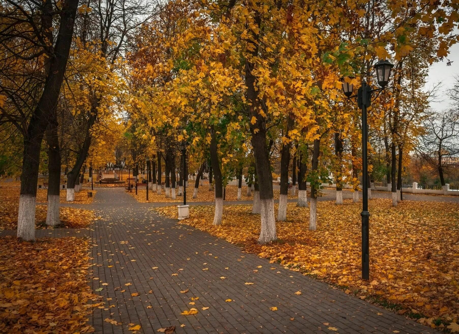 Скучная осень. Осенняя скука фото. картинка осень скучная пора.