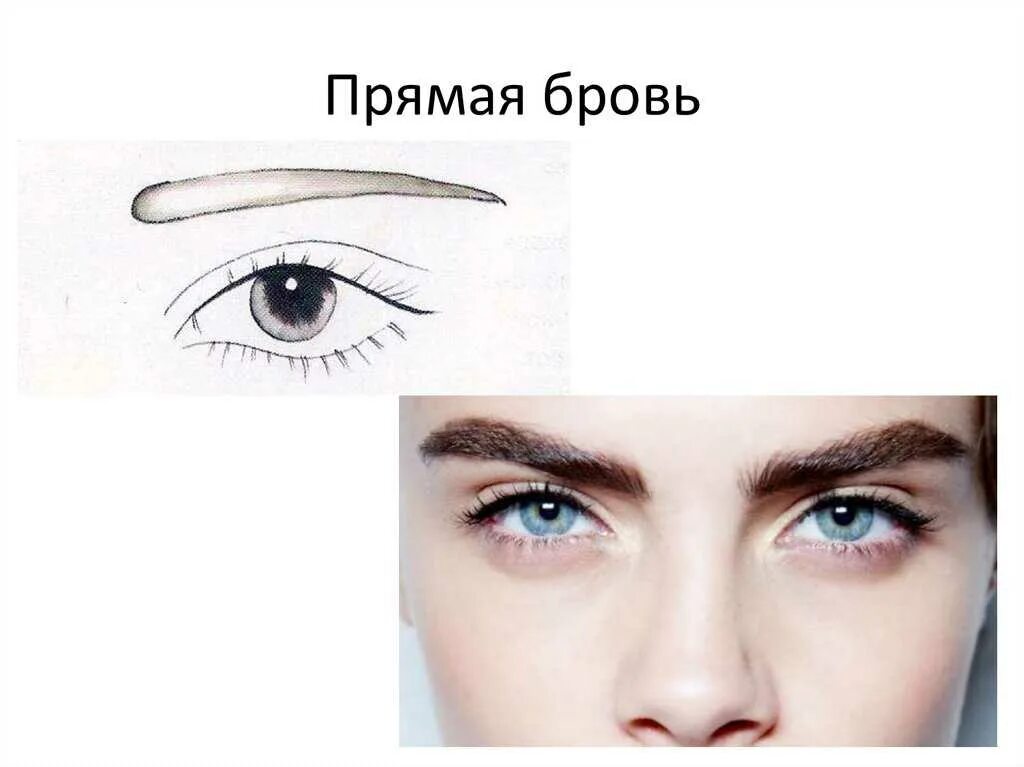 Прям сделай. Схема прямых бровей. прямые горизонтальные брови. брови прямые форма. горизонтальная форма бровей.