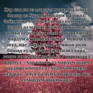 Намози чума