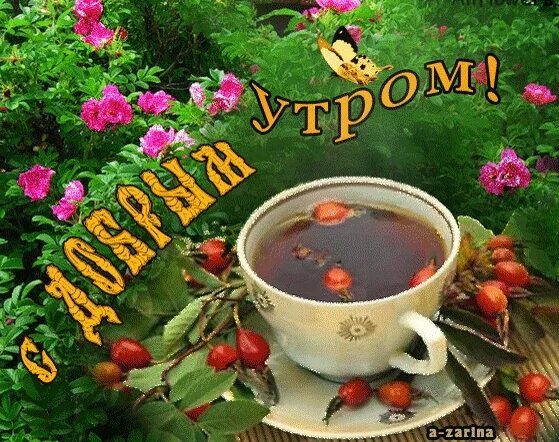 Доброе утро август мерцающие открытки. Поздравление с добрым летним утром. с добрым утром анимация.