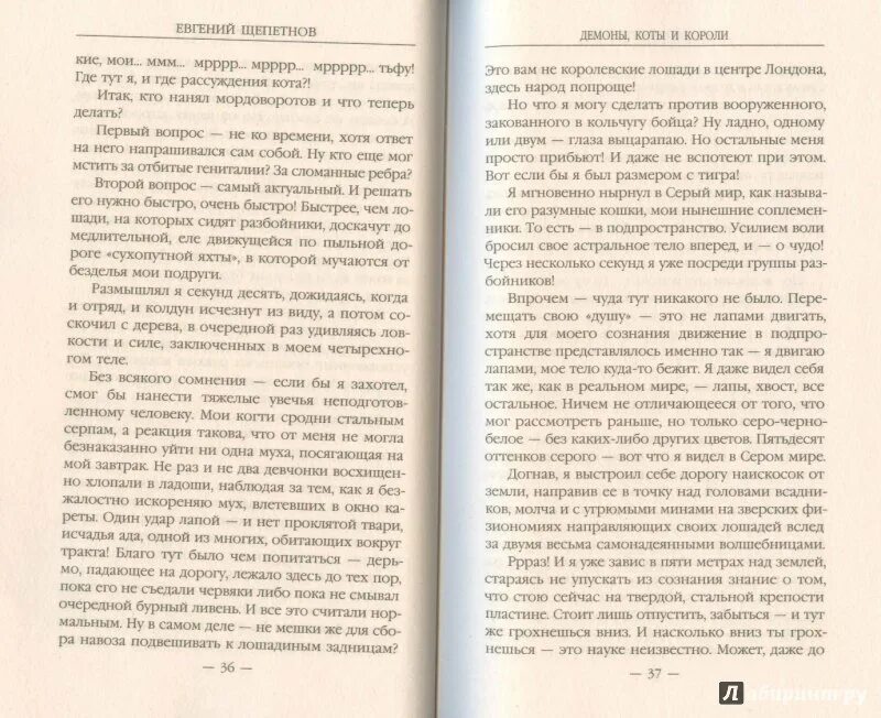 Читать книгу щепетнова монах. Читать книгу щепетнова монах