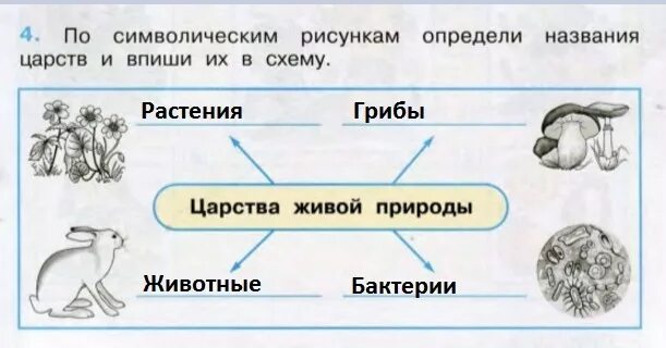 Окружающий мир названия групп